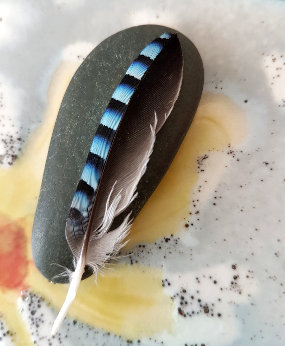 Le vent de la Plume Le vent de la Plume