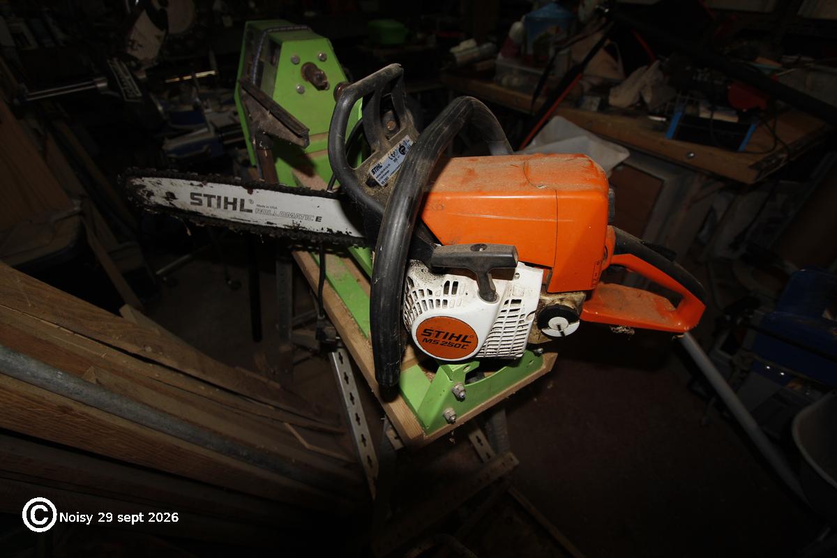 noisy_20260929_0061.jpg