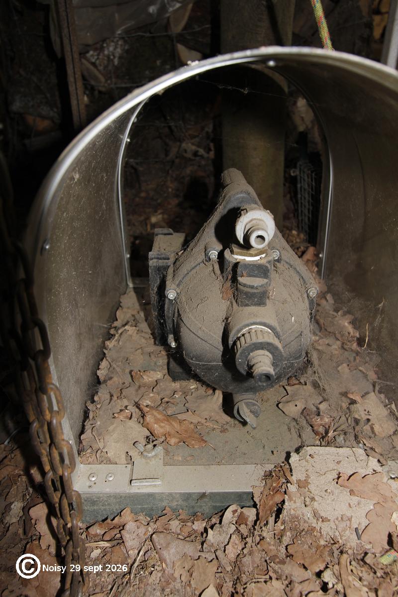 noisy_20260929_0086.jpg