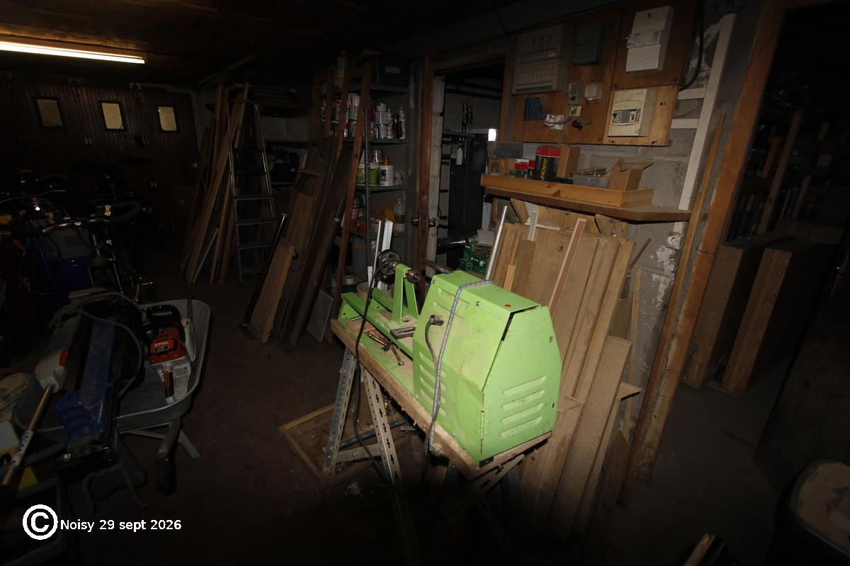 noisy_20260929_0027.jpg