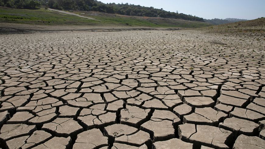 secheresse.jpg