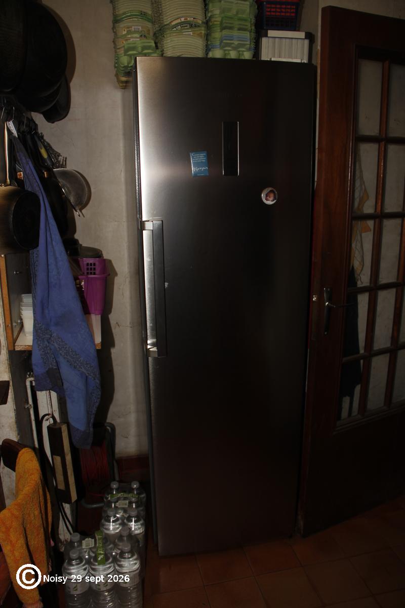 noisy_20260929_0161.jpg