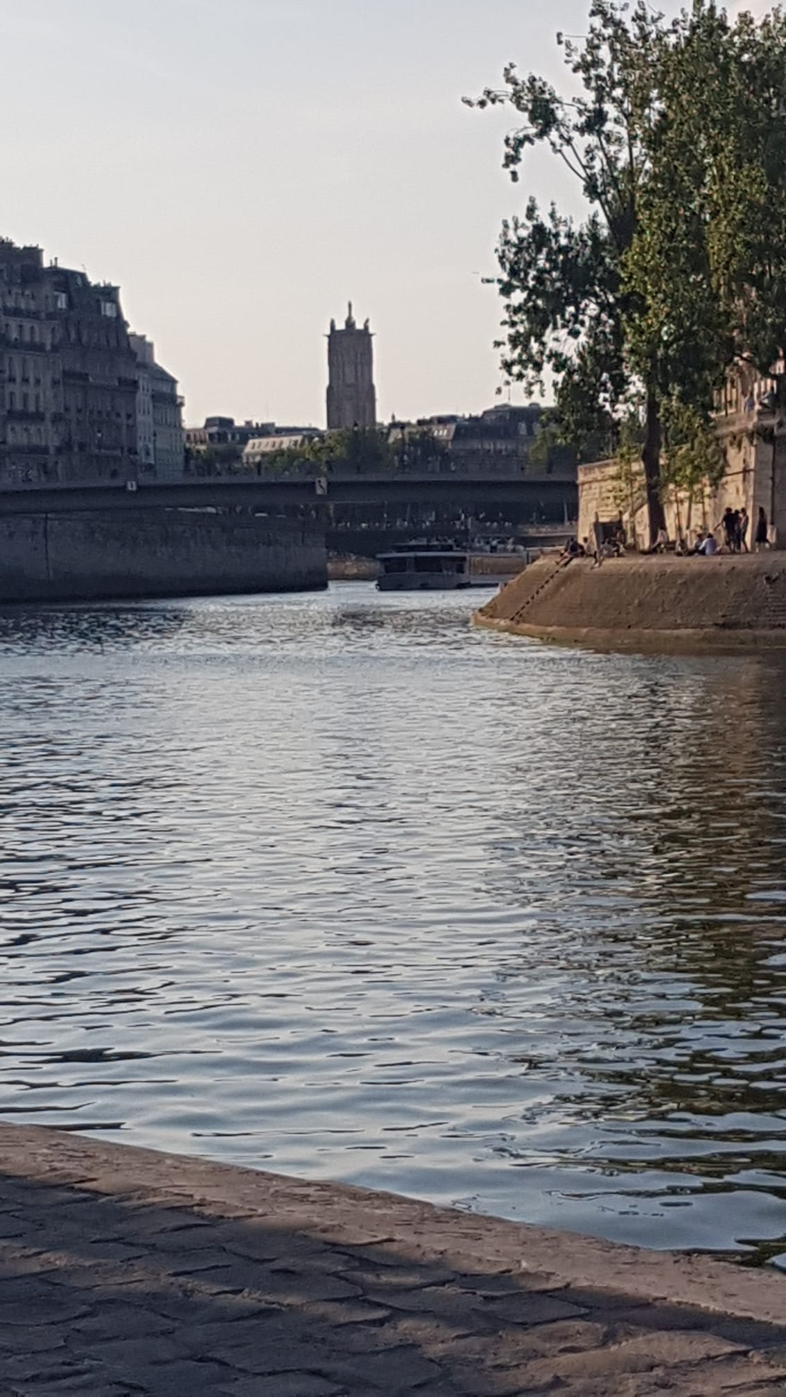 vent_plume_la_seine_2022.jpg