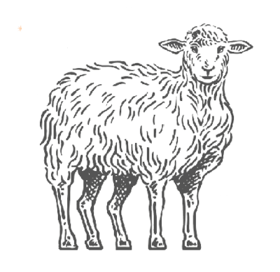 mouton_a5_pattes.png