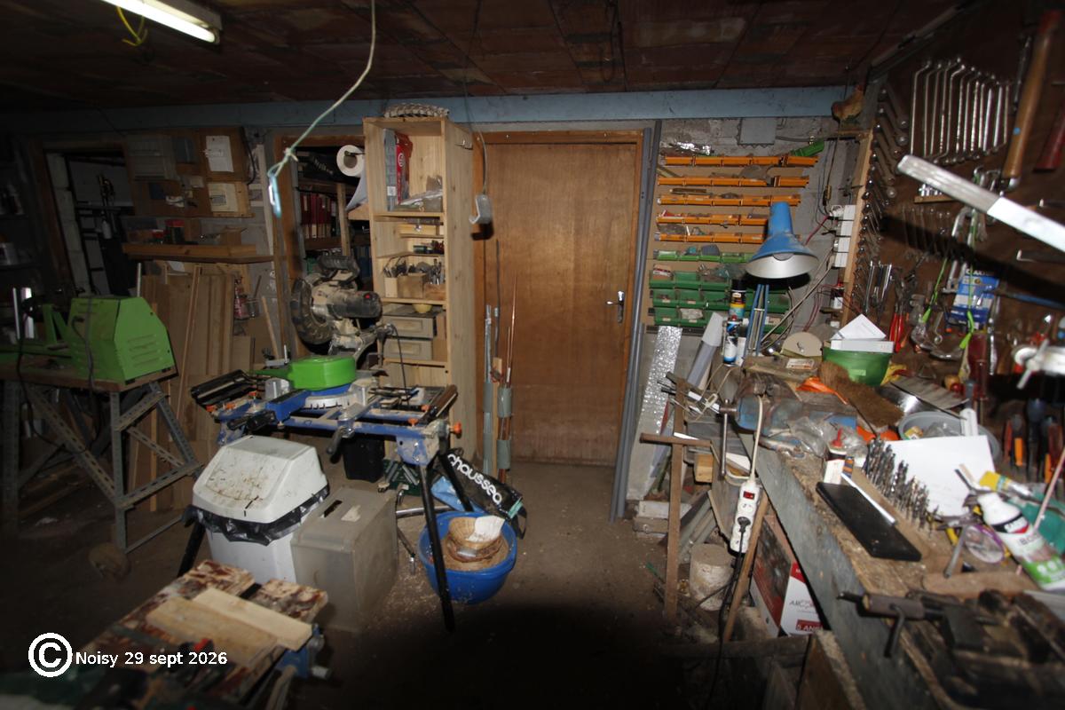 noisy_20260929_0024.jpg