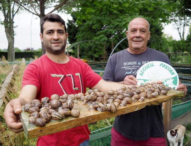 roumens_2022_escargot_eleveurs.jpg