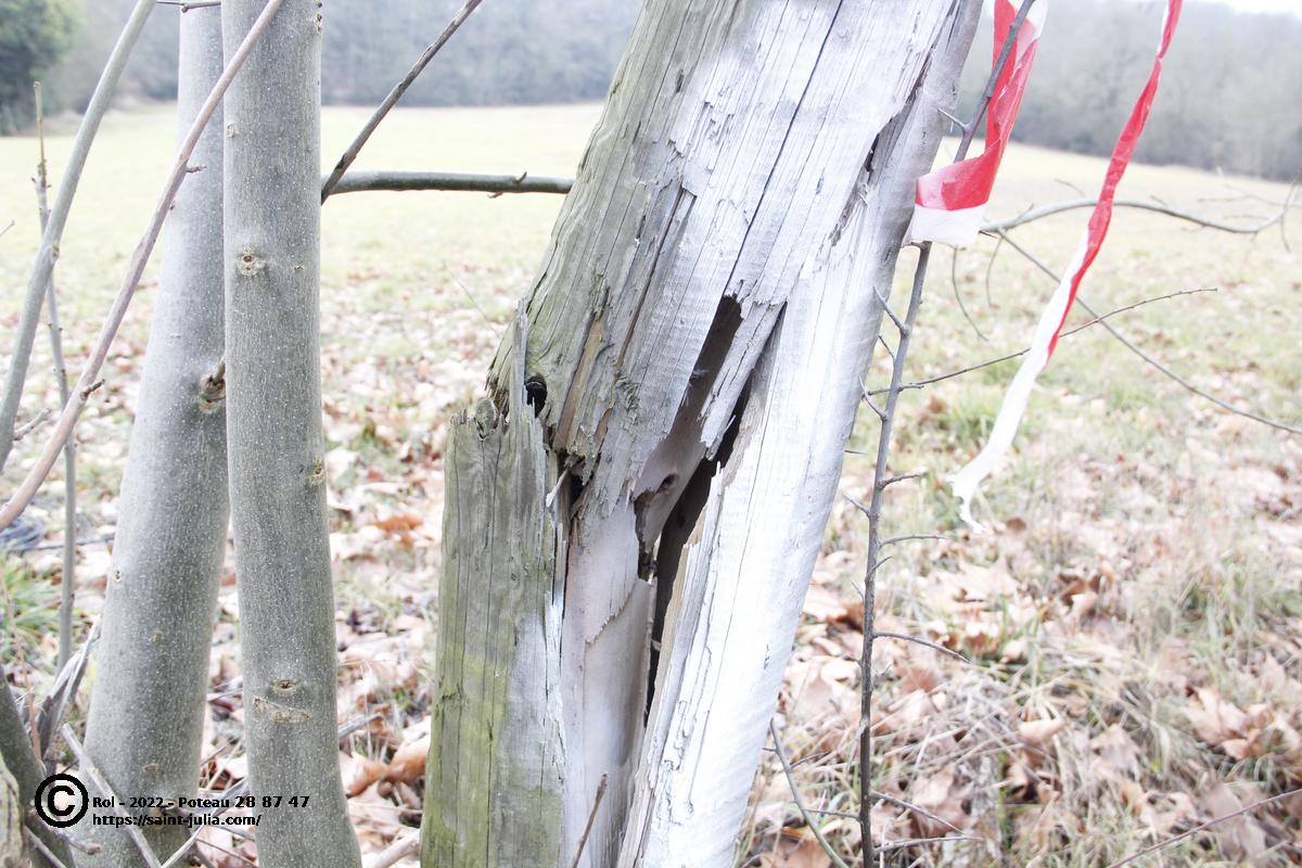 stjulia_20220129_poteau_28-87-47_03.jpg