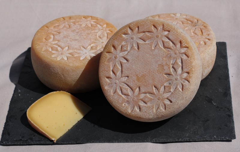 stjulia_20221015_fromage_tome_lauragais.jpg