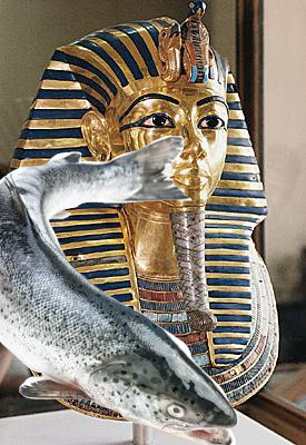toutansaukhamon.jpg