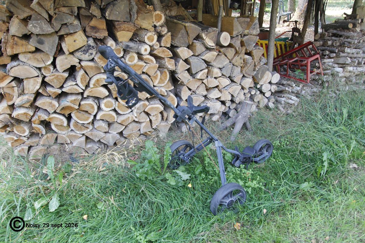 noisy_20260929_0082.jpg