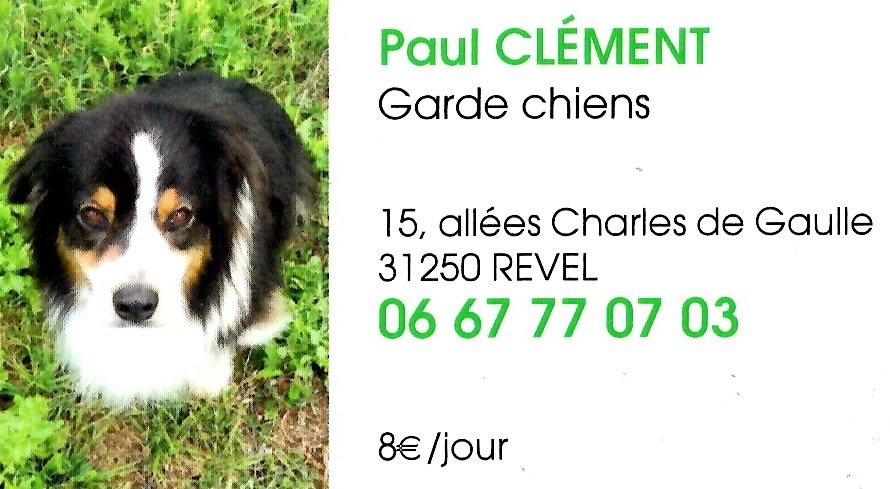 stjulia_20220118_chiens_garde_paul_clement.jpg