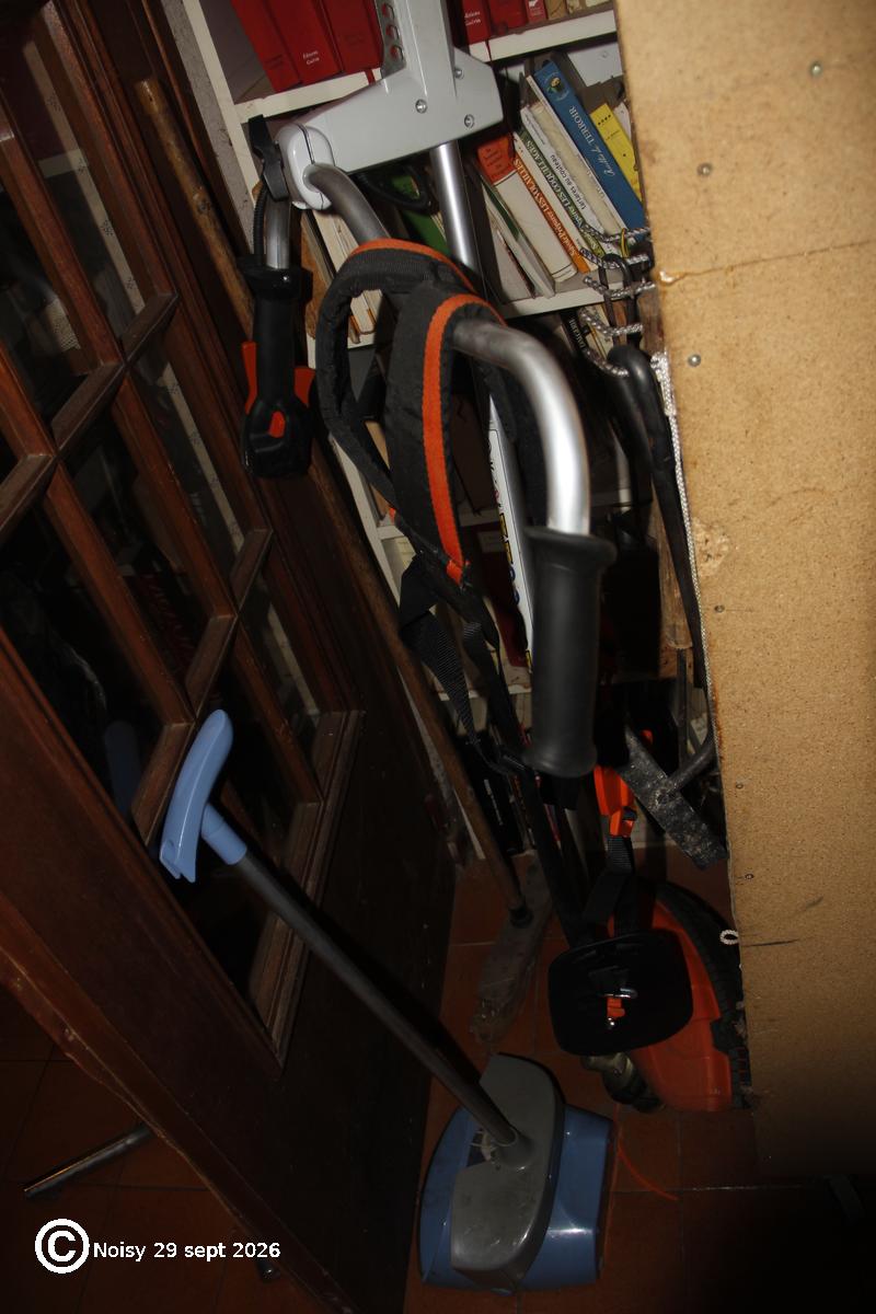 noisy_20260929_0159.jpg