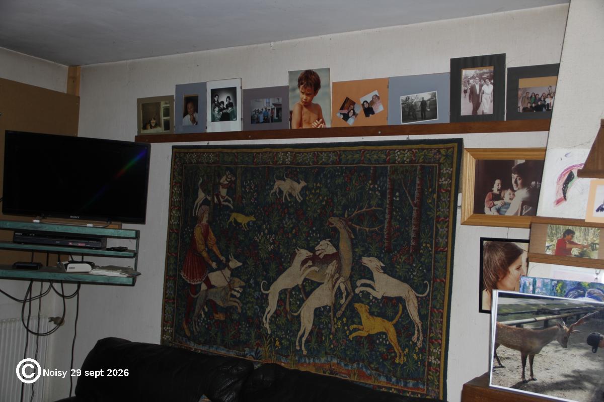 noisy_20260929_0151.jpg