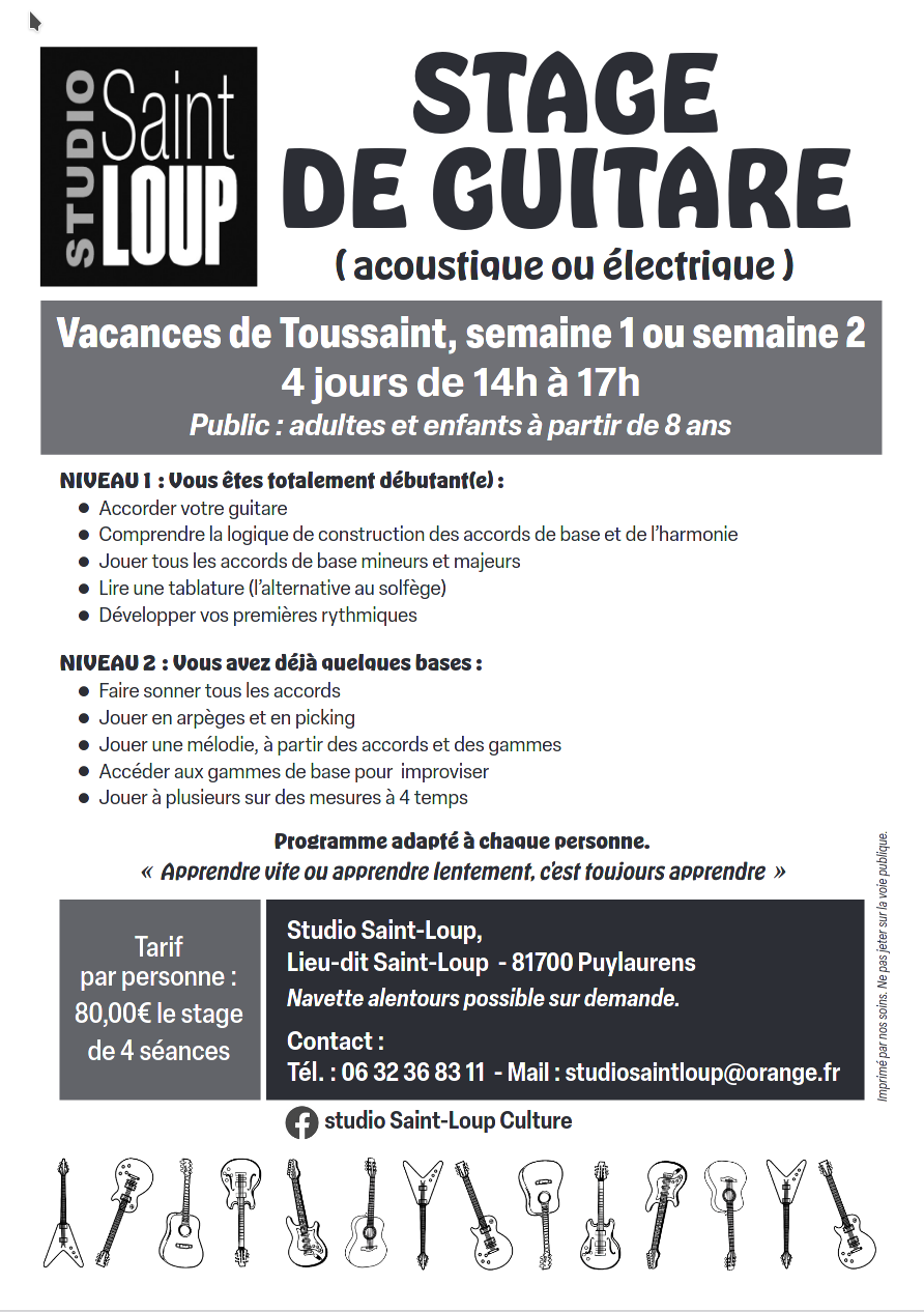 saintloup_20231023_guitare.png