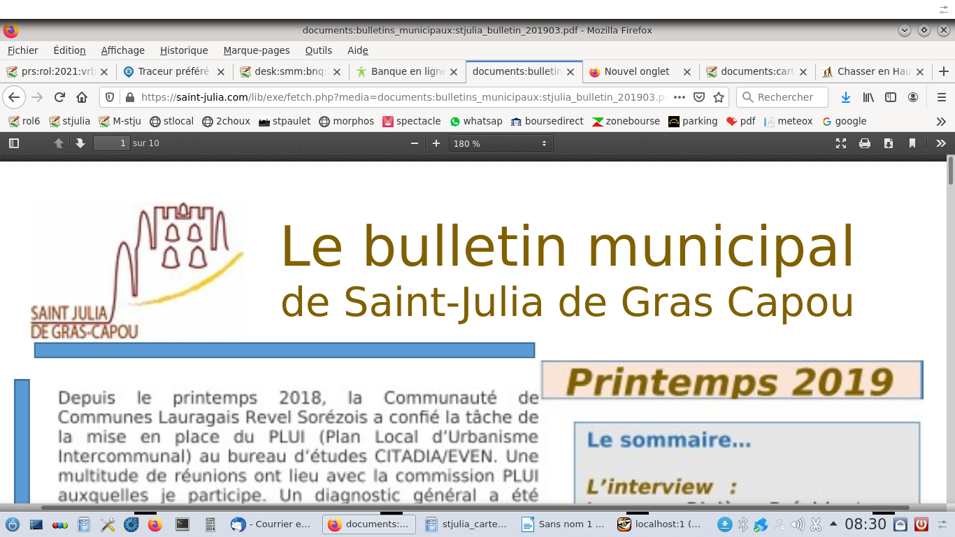 stjulia_2021_logo_bulletin.png