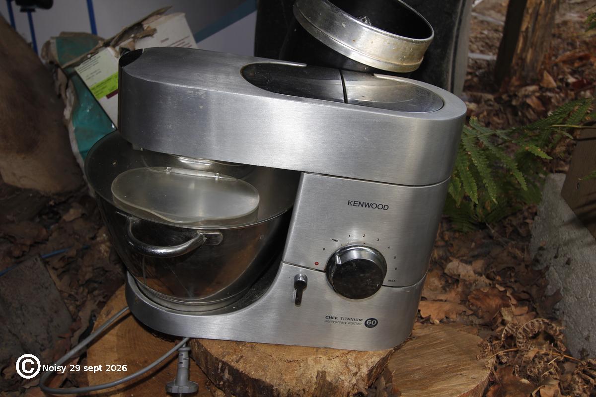 noisy_20260929_0097.jpg