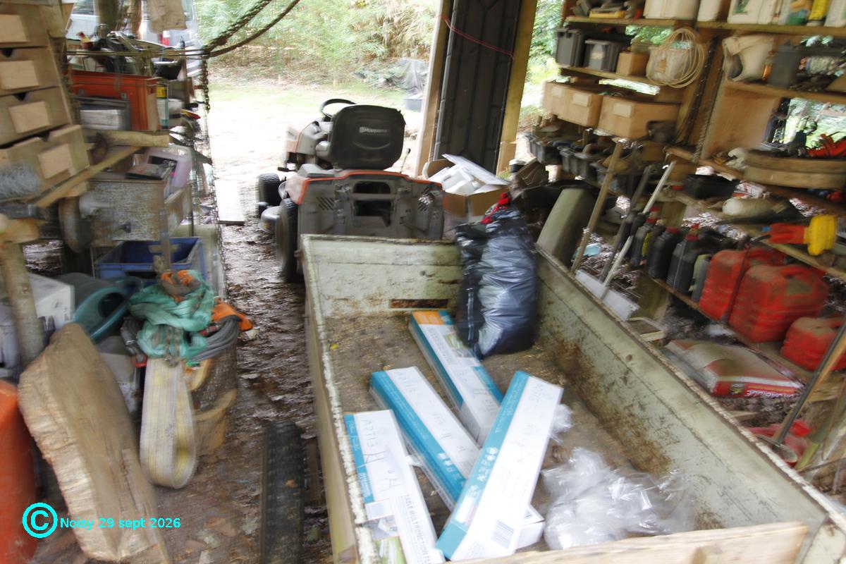 noisy_20260929_0084.jpg