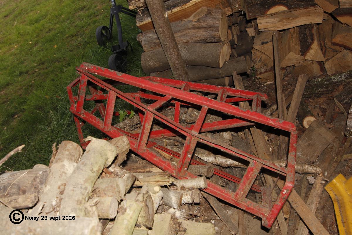 noisy_20260929_0114.jpg