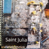 Saint Julia, un village, ses fêtes, ses visages  (Sylvia Somerville ) 
